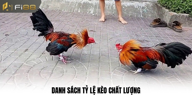 Danh sách tỷ lệ kèo chất lượng