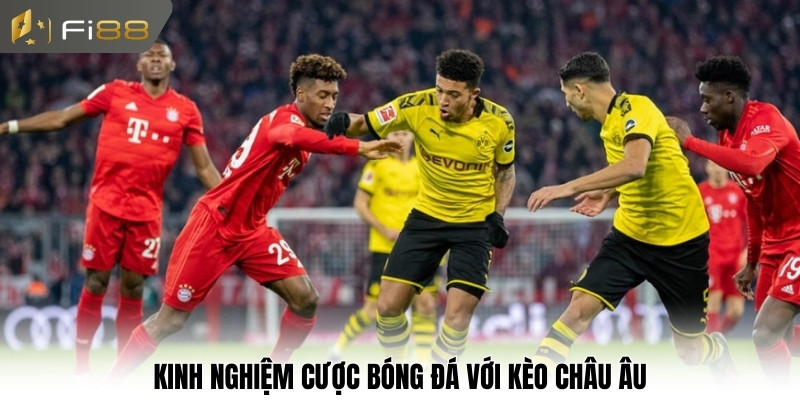 Kinh nghiệm cược bóng đá với kèo châu Âu