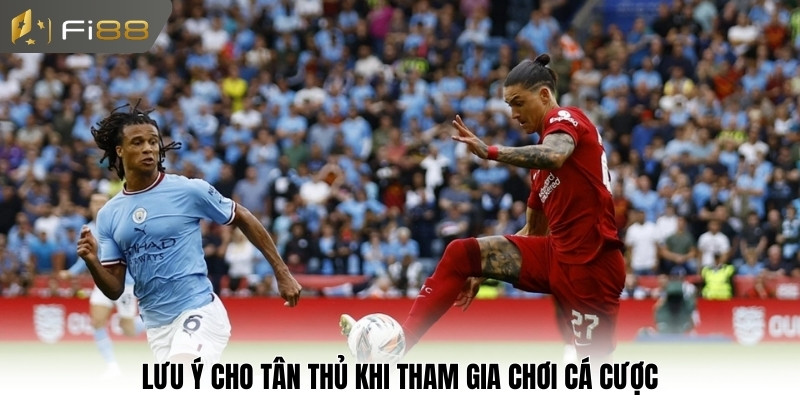 Lưu ý cho tân thủ khi tham gia chơi cá cược